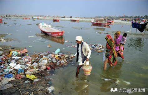 清道夫来源于哪个国家,清道夫鱼在印度是怎么栽跟头