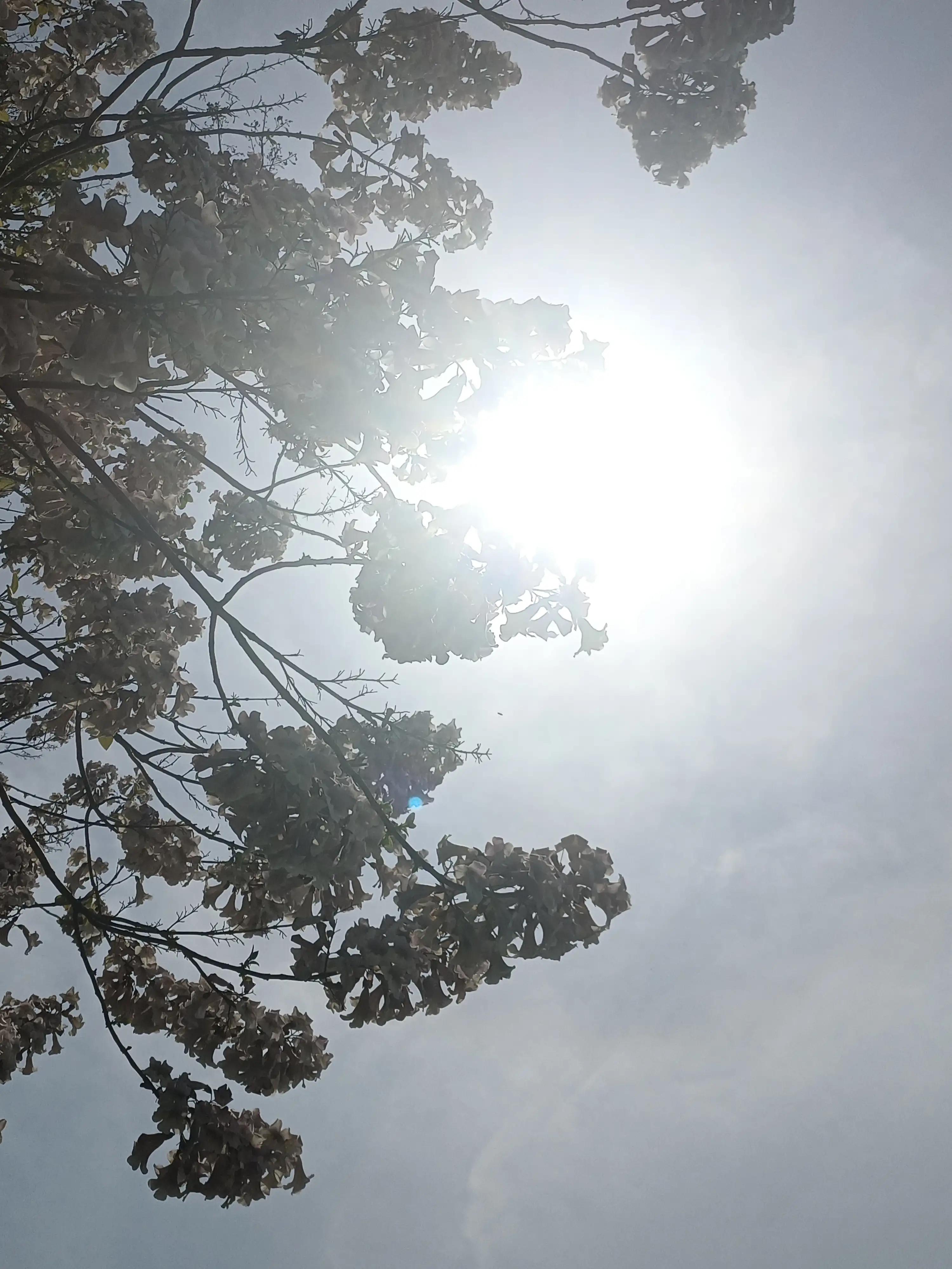 闲来无事荡秋千视频,山中荡秋千