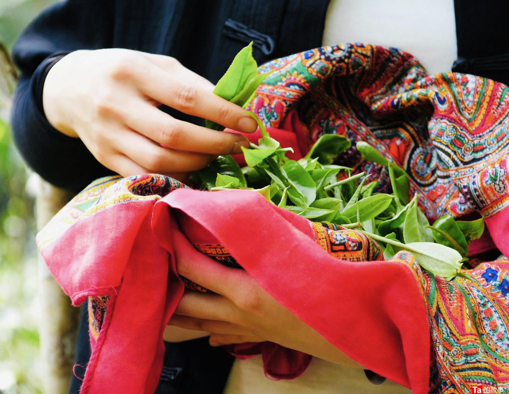 中茶黑茶哪款最好喝,黑茶好还是铁观音茶好