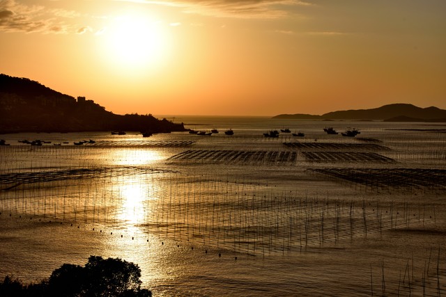 海口五一赶海时间和最佳赶海时间,目前海边旅游赶海推荐