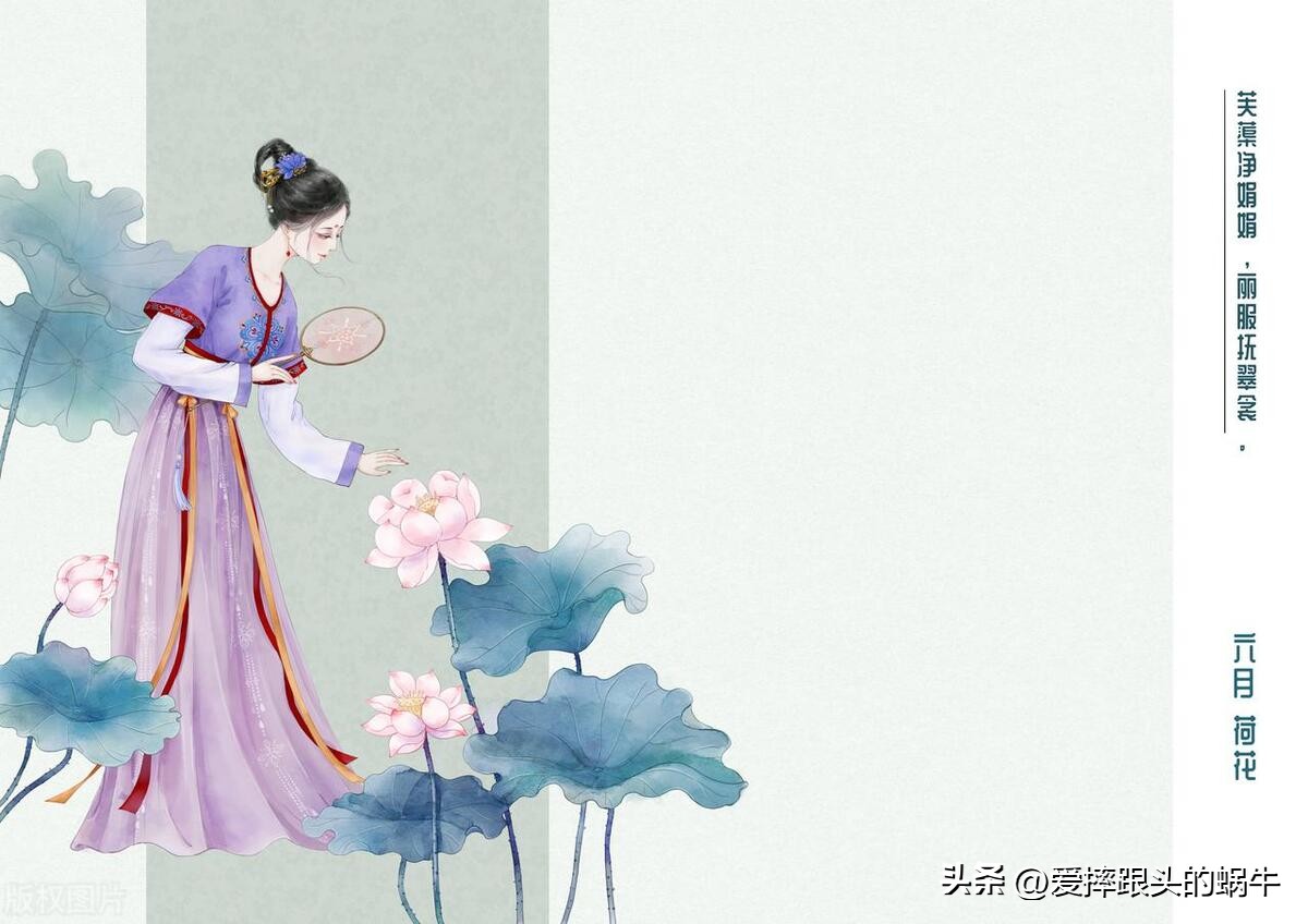 十二花神图谱完整版,工笔画十二花神欣赏