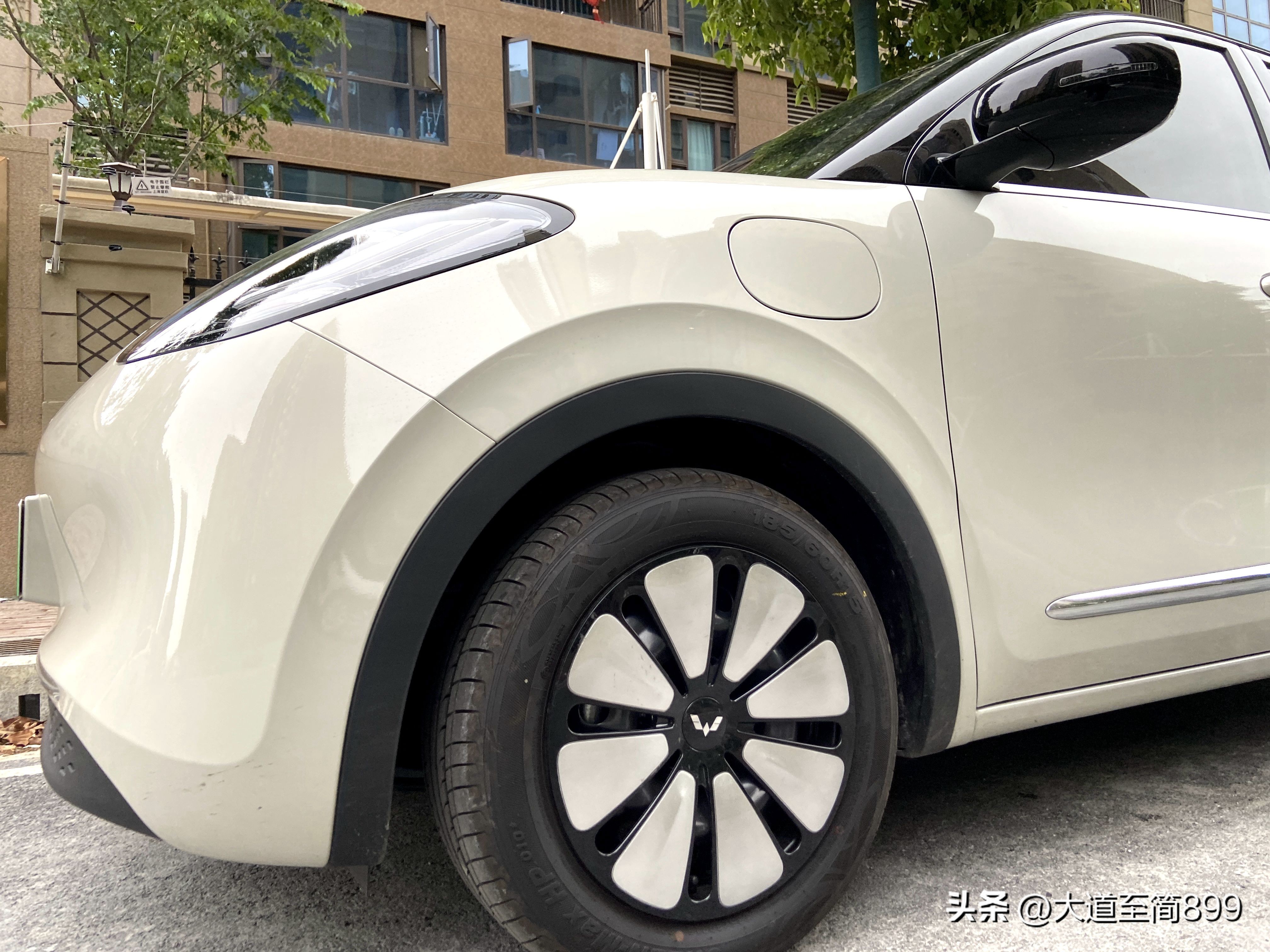 和宾果一起抓住春天的尾巴,与五菱缤果开启一场春日之旅