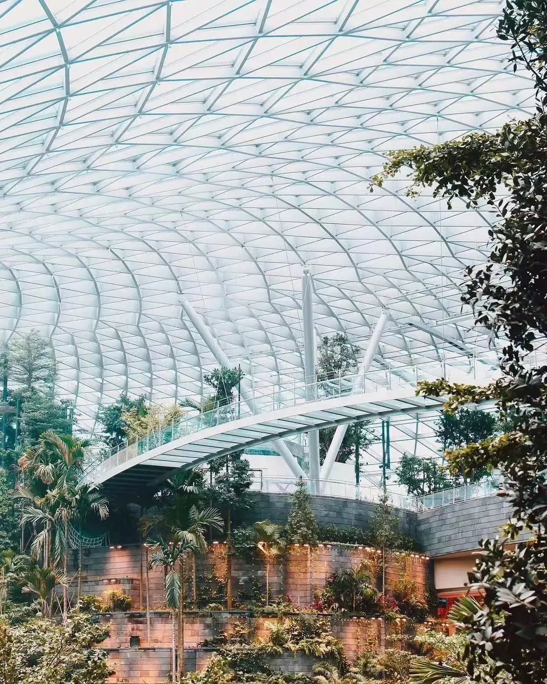 新加坡申请永居最快方法,新加坡长居签证好办吗