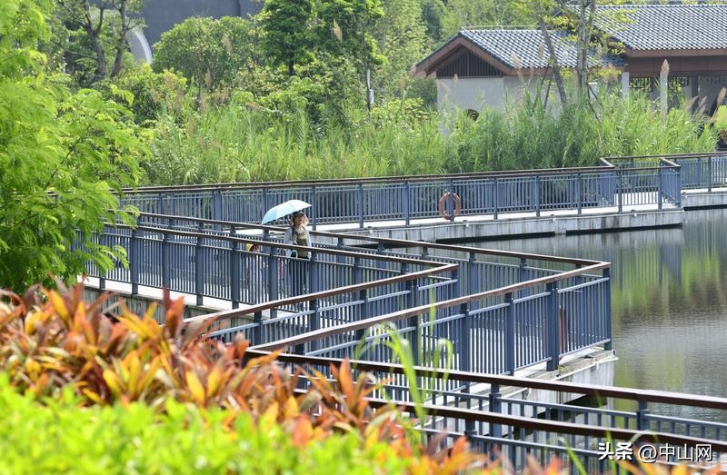 中山最新公园改建,中山市中心公园规划图