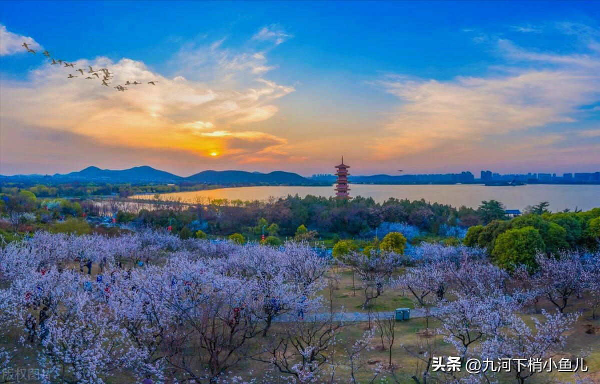 天津周边四小时高铁游,从天津出发高铁三日游推荐