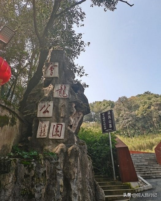 森林公园爬山图,会龙山旅游景点