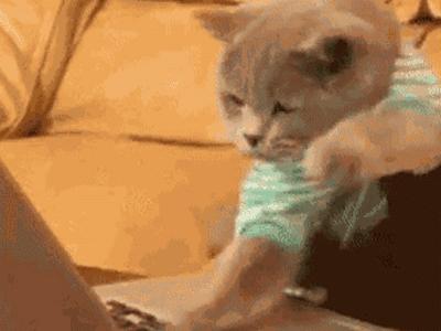 一男子连续开车8小时被确诊截瘫,交通事故截瘫能自愈吗