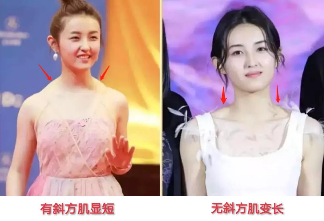 脖子短怎么成为天鹅颈,如何练出天鹅般的美颈