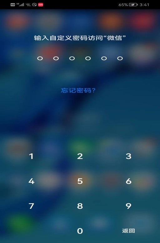 手机安全与隐私密码忘了怎么办,苹果手机安全与隐私设置