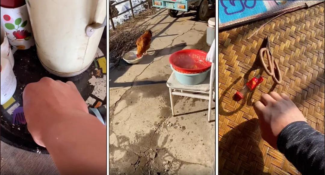 张同学涨粉1000万,张同学半个月涨粉百万