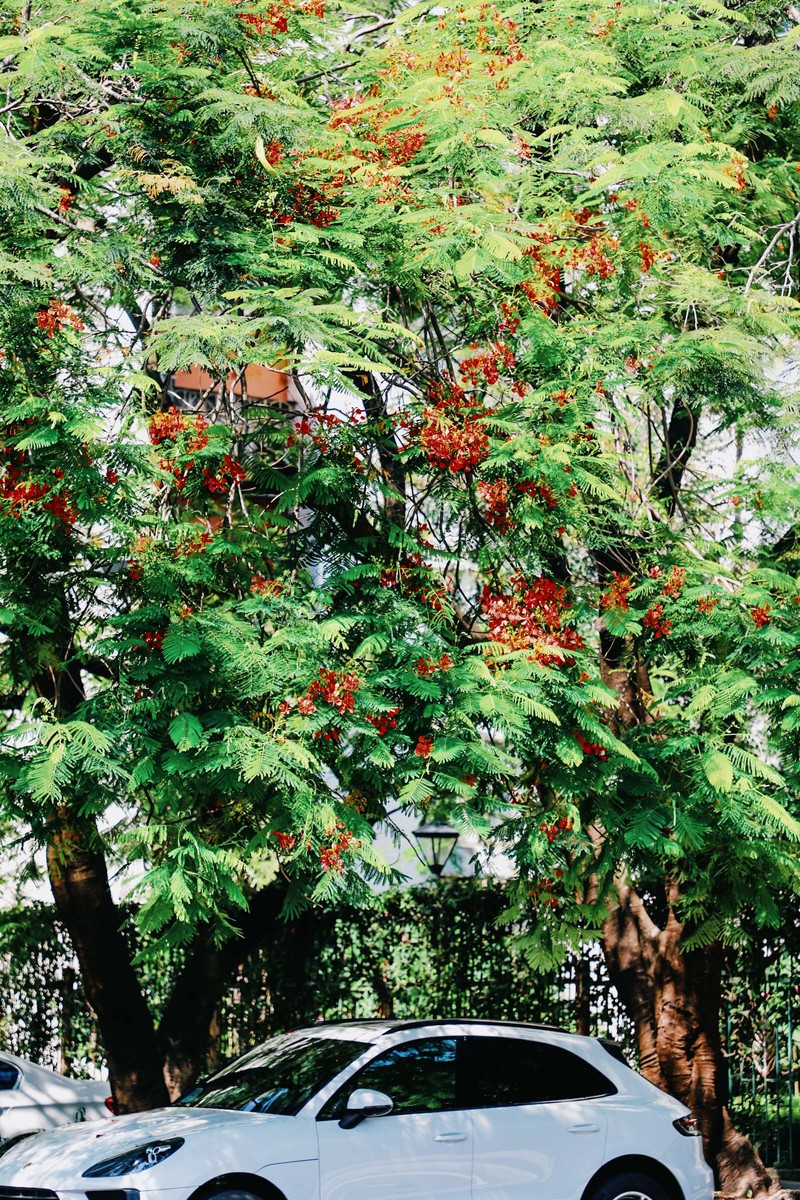 深圳ENJOY｜城市漫游指南·蛇口