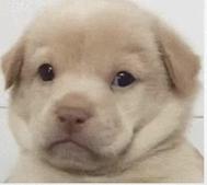 35周产检已经花了4000,30周往后的孕检