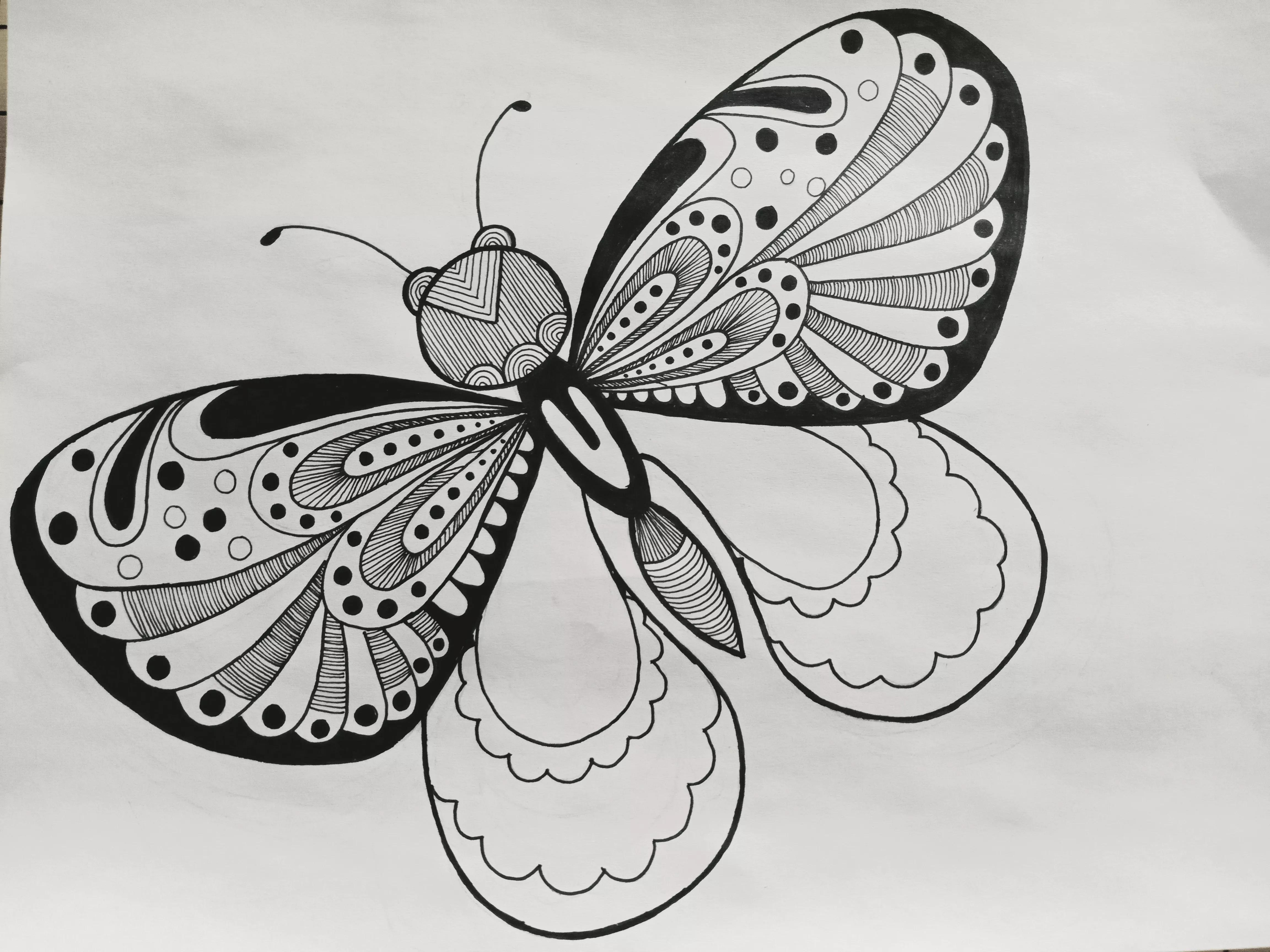 蝴蝶线描画绘画过程,绘画蝴蝶教程线描画