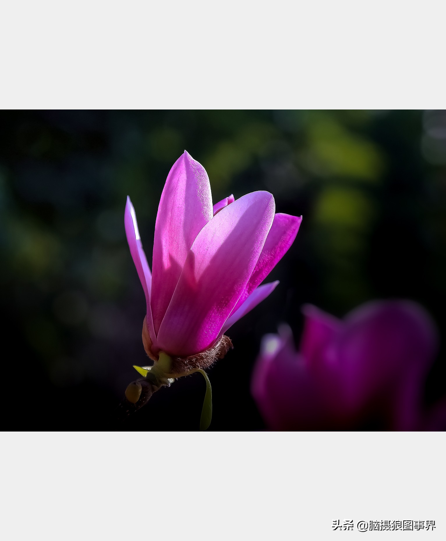 掌握的20个摄影构图法,拍摄照片常用的四种构图是哪几个