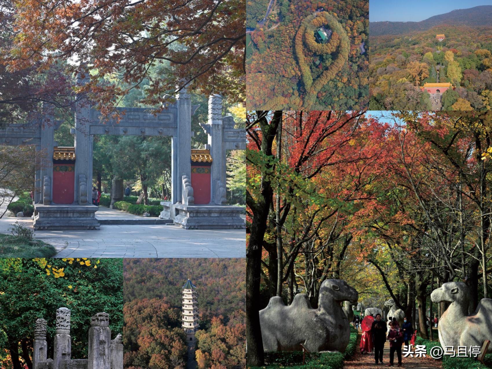 南京不知道去哪玩,南京一日游必去景点推荐玄武湖