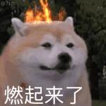 目前国内app软件存在的问题,国产app为什么更新这么频繁