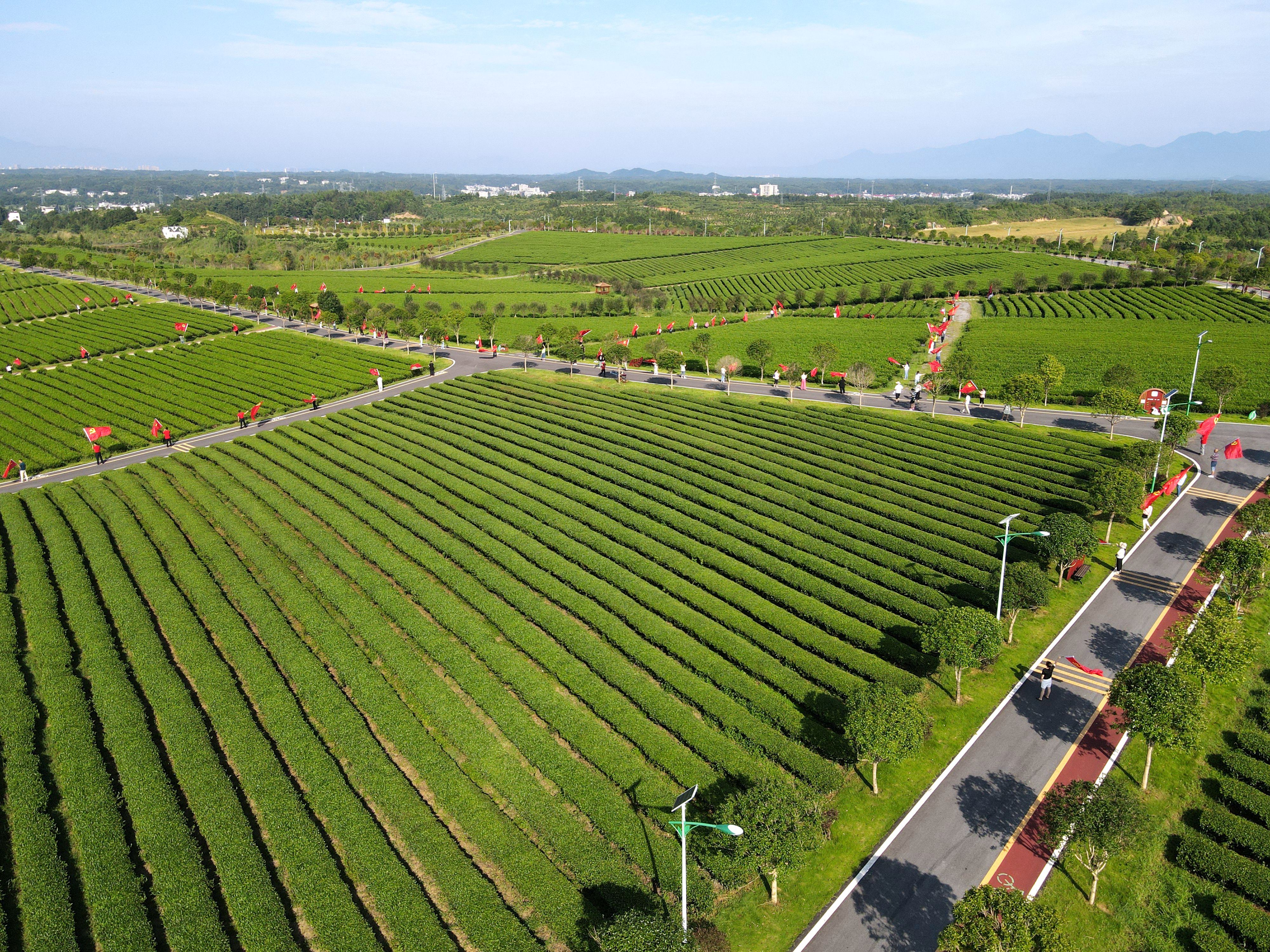 小流域综合治理成效,小流域治理和河道治理