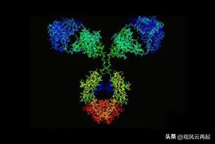 替尼类药物和单抗类药物的区别,替尼单抗