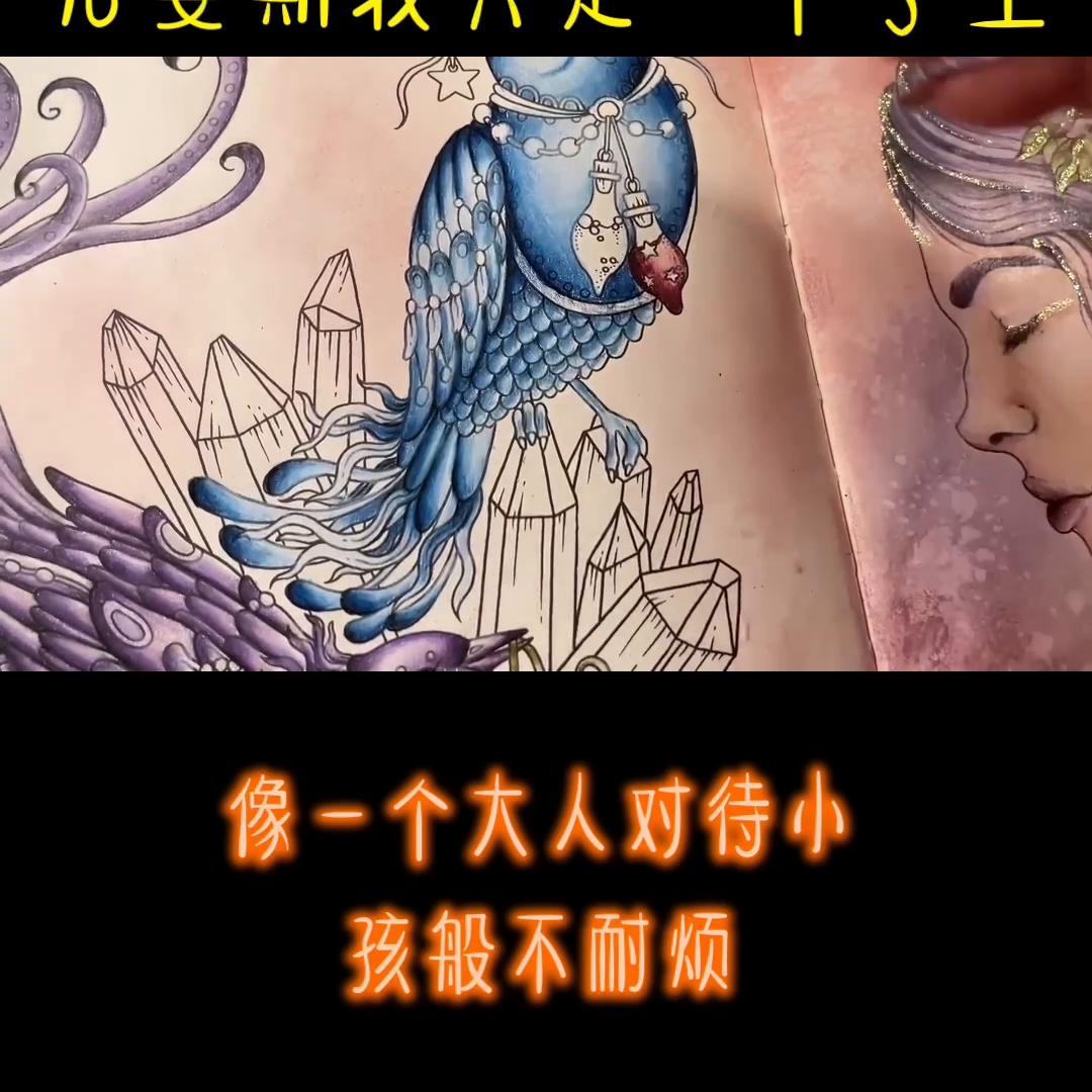 番茄小说,番茄小说网