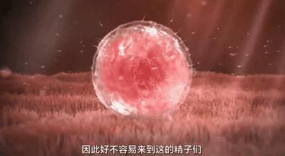 为了延长时间,同房时忍着不射有用吗?对身体会造成哪些影响?