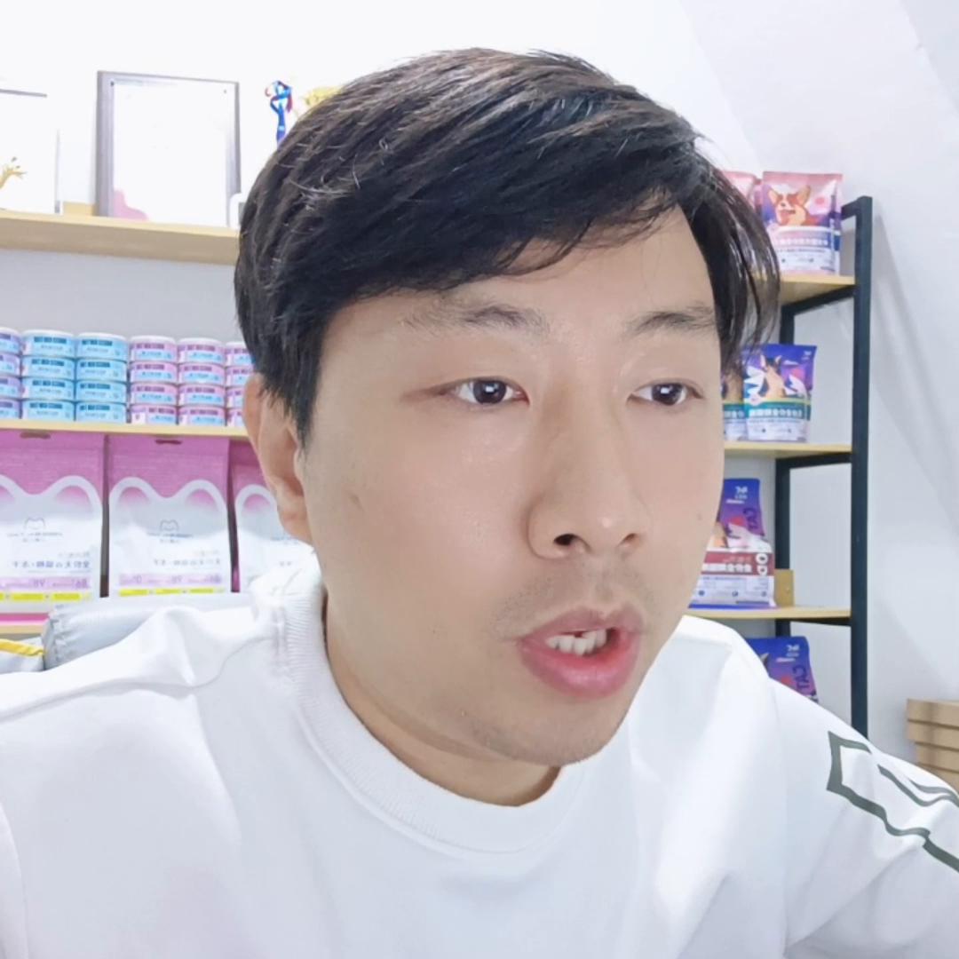 宠物店训犬加宠物美容模式,去宠物店学习