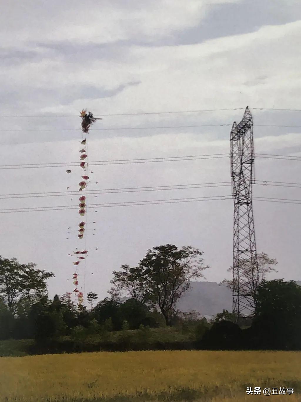 巨龙腾飞风筝的放飞现场,260米长风筝