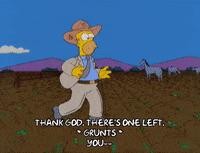 husband是啥意思啊,husband到底啥意思啊