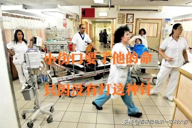 汪清不慎落水,汪清丢牛案始末