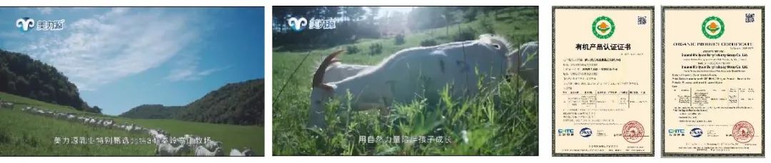 美力源高山放养有机羊奶粉,春天羊奶粉和美力源