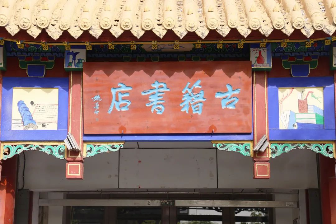 走进书店读书心得体会,走进图书馆感受书香气息