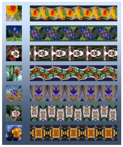 数学家的演讲,数学家谈函数与方程