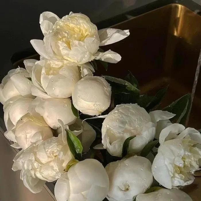 100张绝版背景图全屏,容易涨粉的背景图无水印