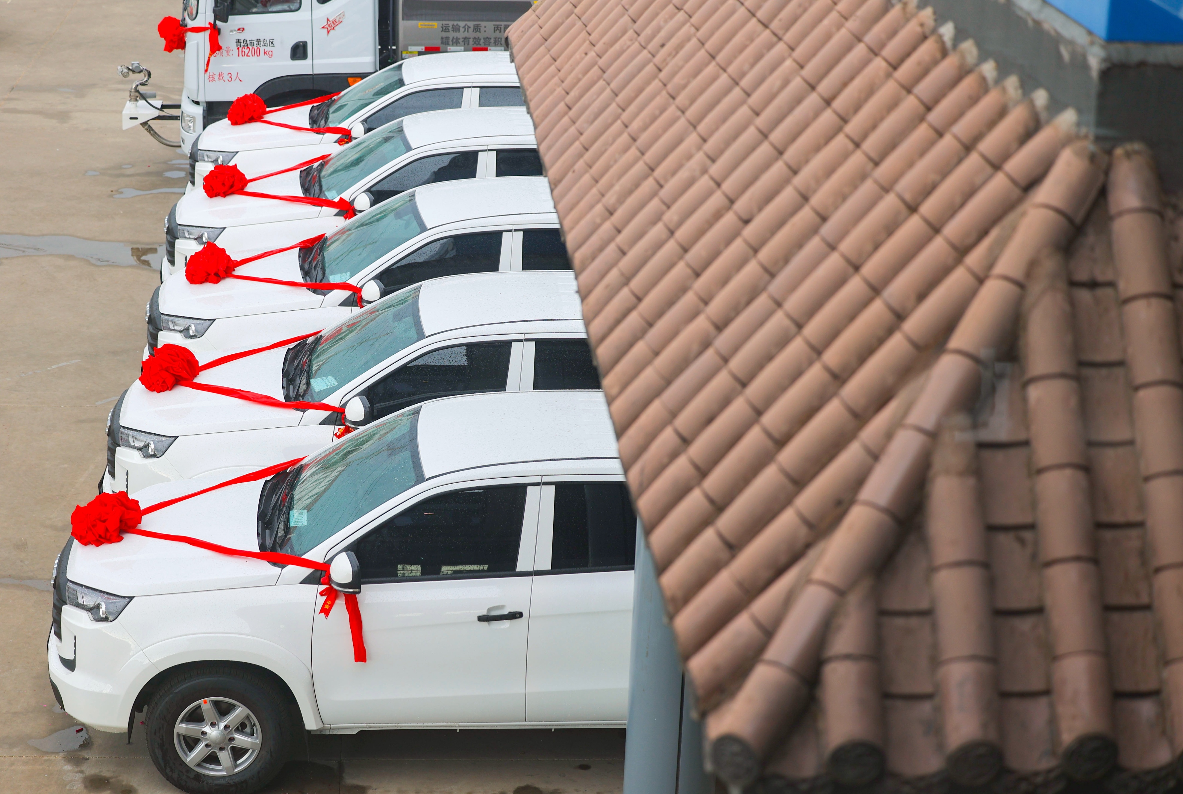 春有桃花源艺术节，夏有蜜桃采摘季，蜜桃成徐村乡村振兴新名片