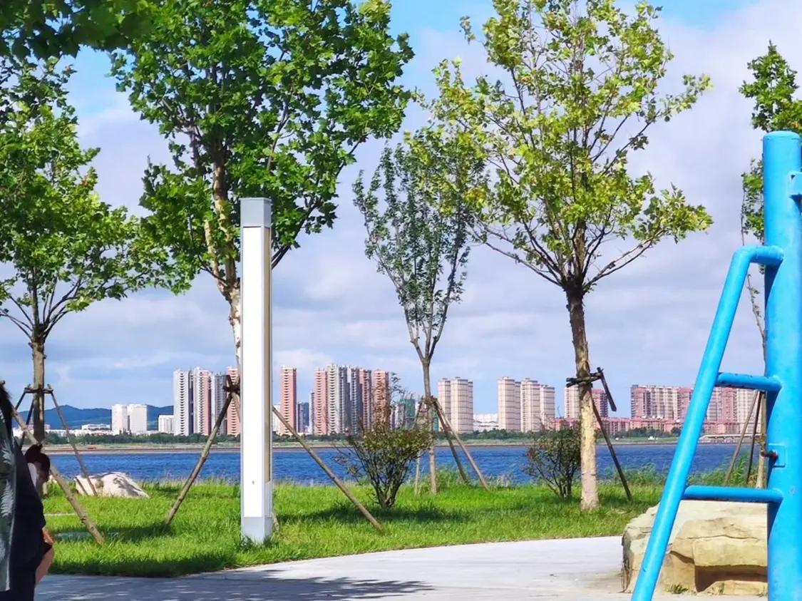 风暴眼｜花60万买套海景房：入手亏损大半还搭进39岁独子的医药费