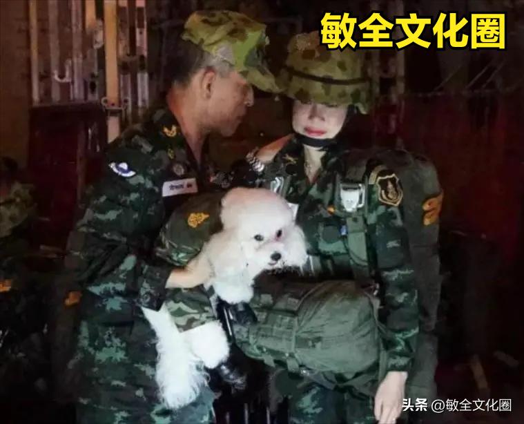 以后，我们一起去遛机器狗，相亲交友！