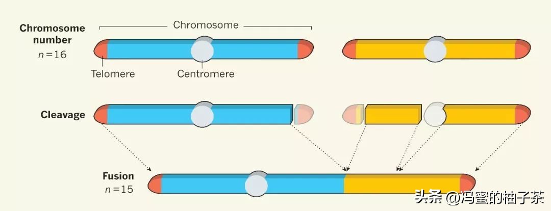 探索人工多酶网络构建代谢的优势:一种新的途径吗？