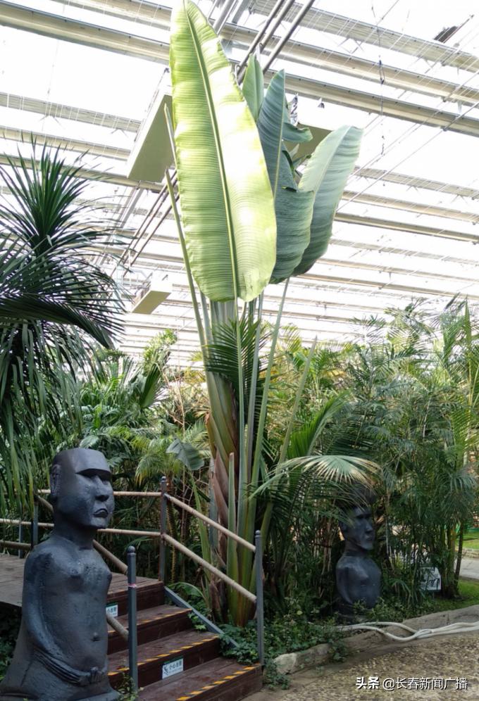 看过人世间你就会明白,看过人世间就懂得人情世故