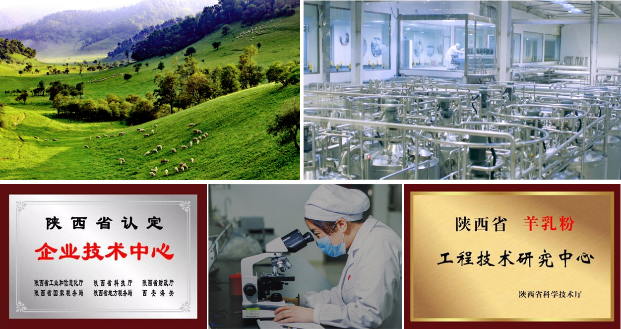 和氏乳业羊奶粉,和氏乳业有机牧场羊奶粉