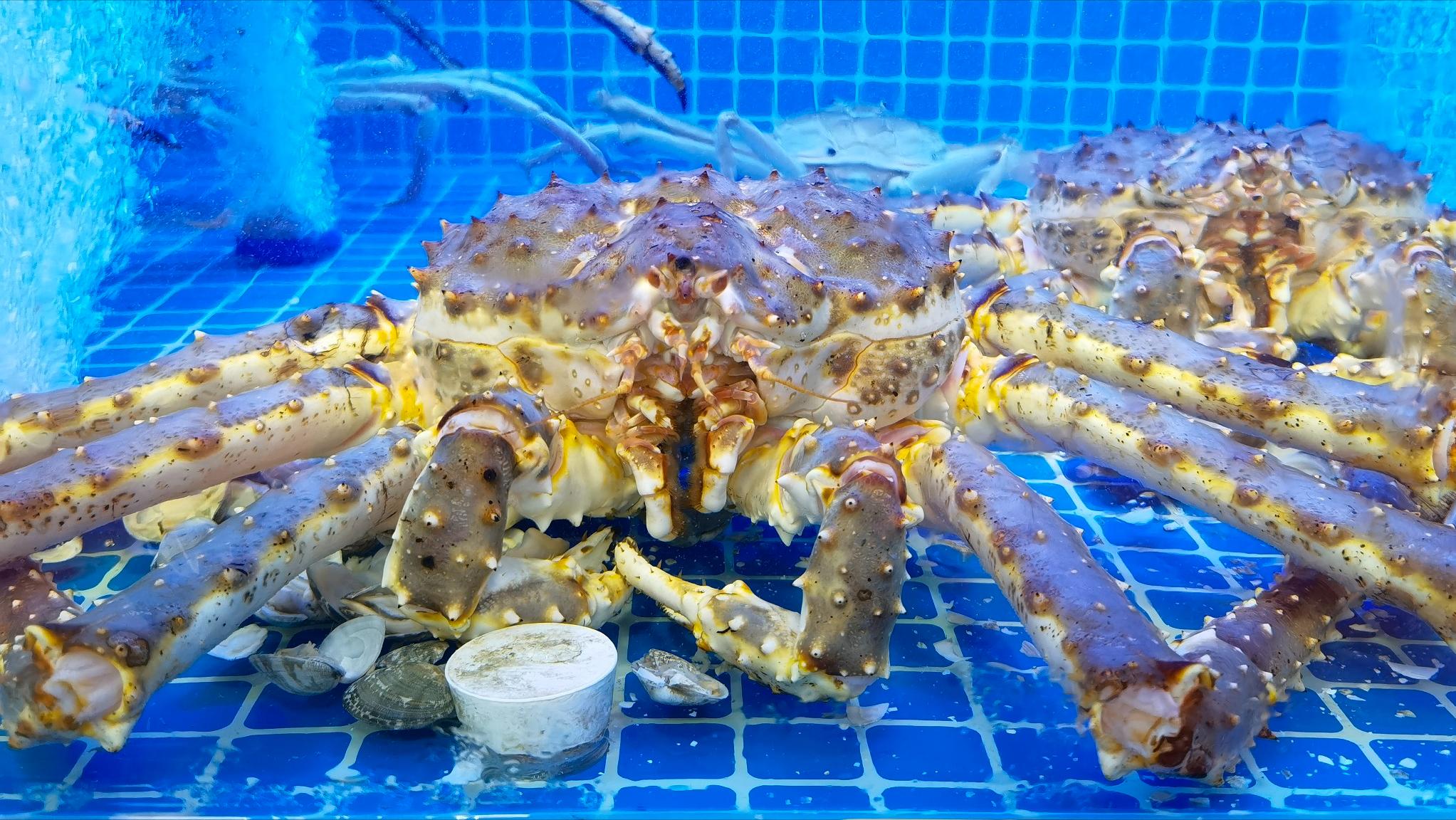 泊来鲜加盟靠谱吗,泊来鲜加盟吉林