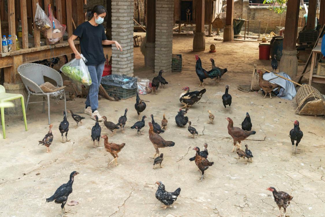 骂版纳是因为你没走出告庄玩版纳跟着小姐姐们走你才晓得味道