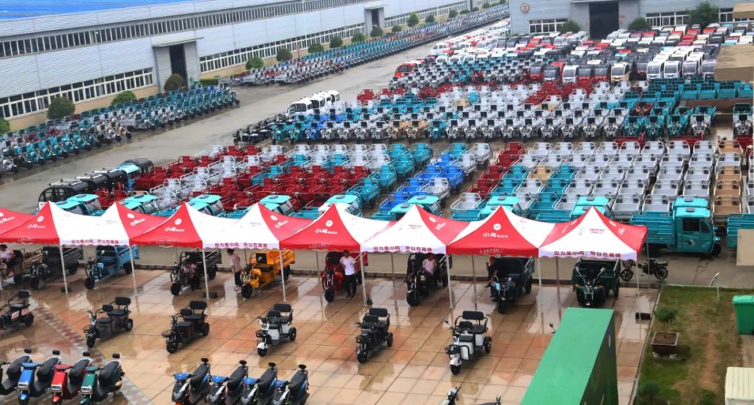 小鸟用好产品赢战市场！科技创新带动销量开门红