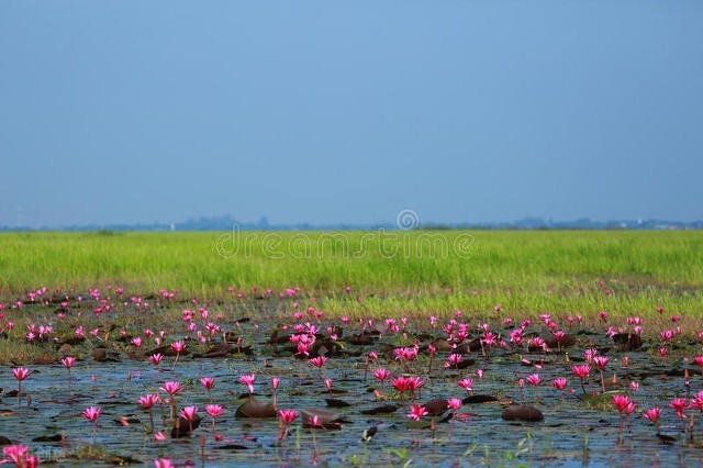 泰国一周旅游攻略必去景点,泰国一生必去的地方