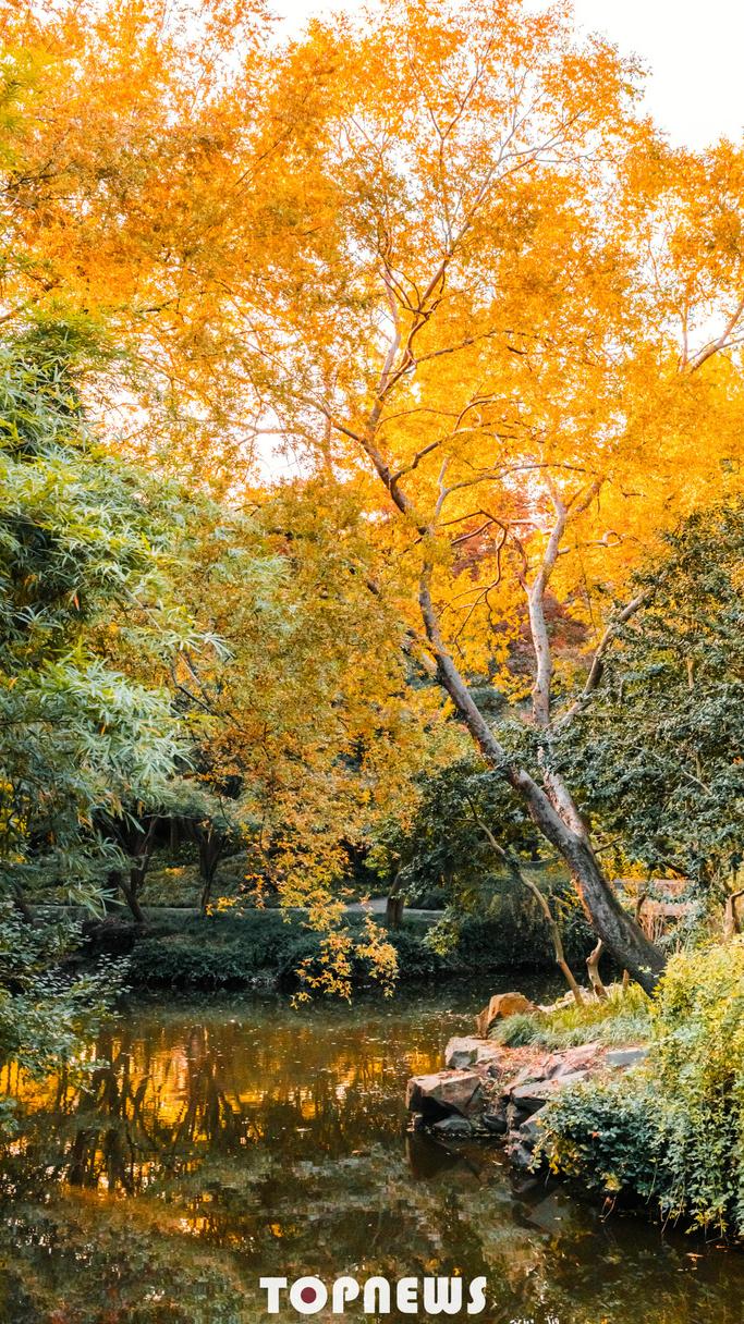 实用全上海532家公园攻略速速收藏,上海攻略必去的公园