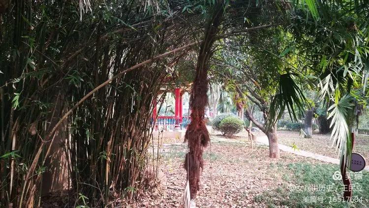 铁兵游记｜你认识这是哪里？