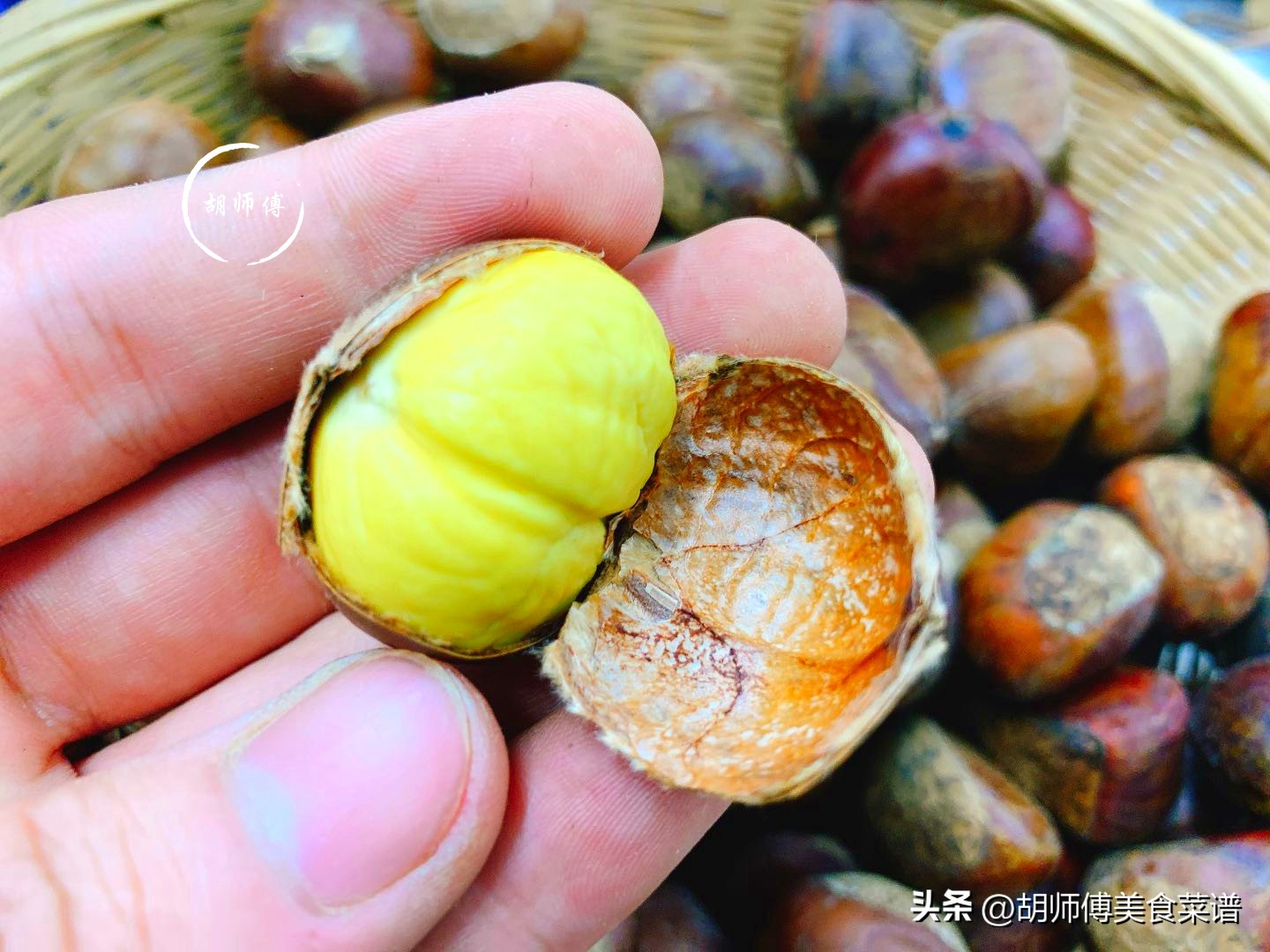 夏天热遇到这菜别手软,天冷了遇到此菜别手软一次买40斤