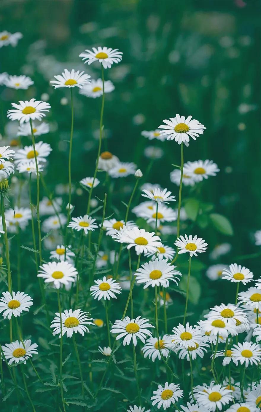 小说部落玄幻,小说部落