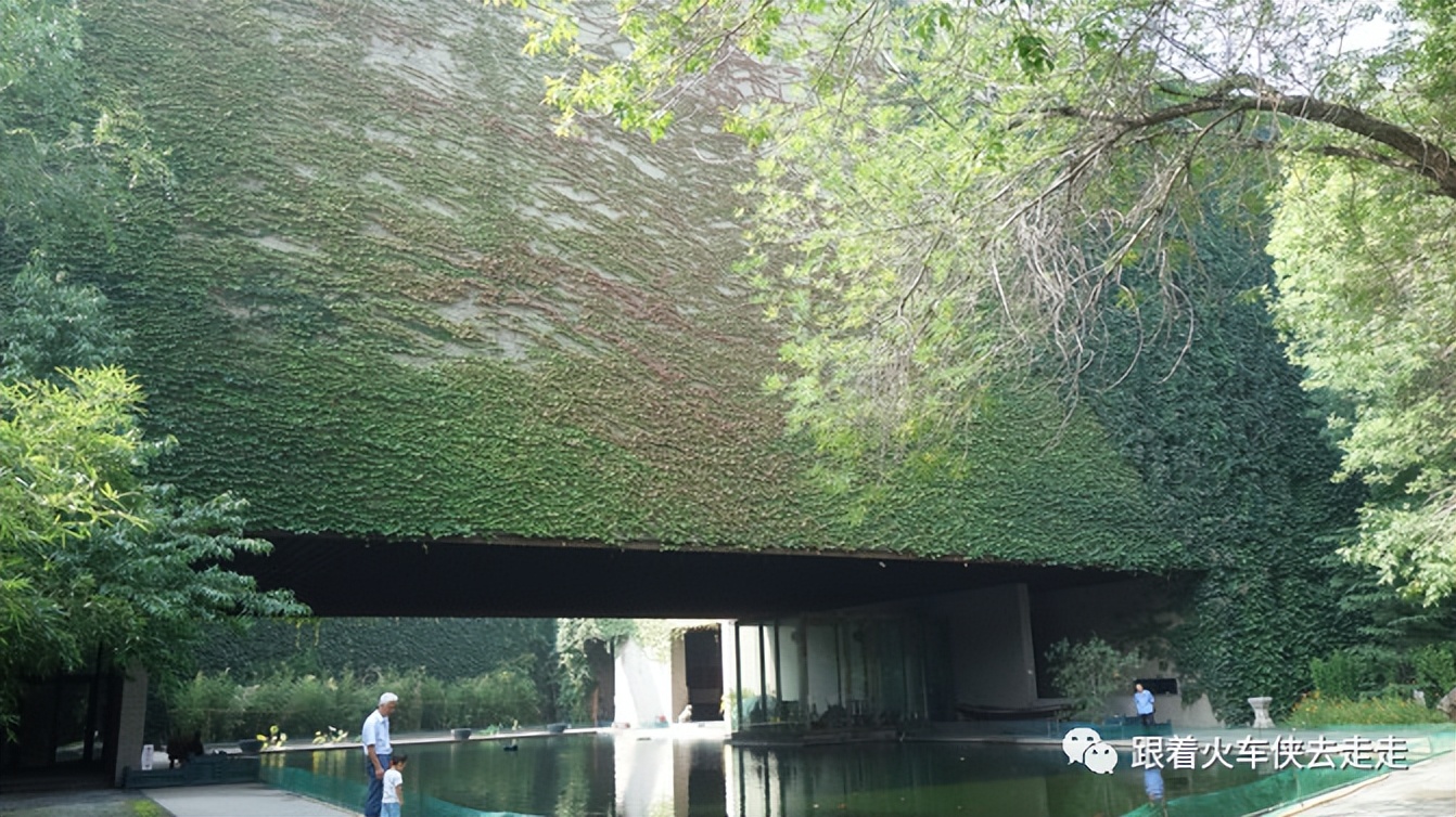 老天津读历史，新天津新全运（四）——天津大学（下）
