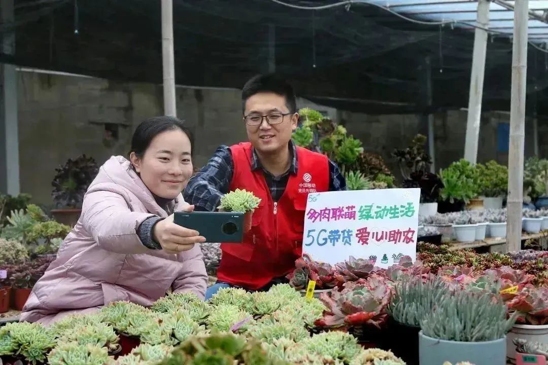 悬念揭晓在即,悬念揭晓视频