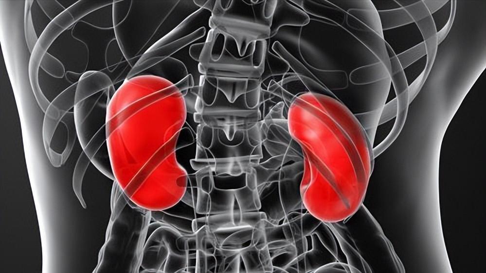 内脏什么病会导致后背不舒服,后背疼痛警惕内脏受损