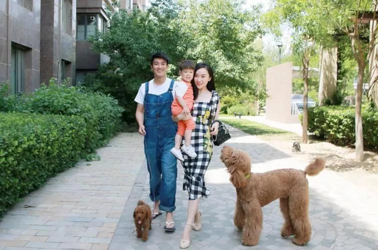 养狗的烦恼全集,养狗的烦恼和快乐有什么区别